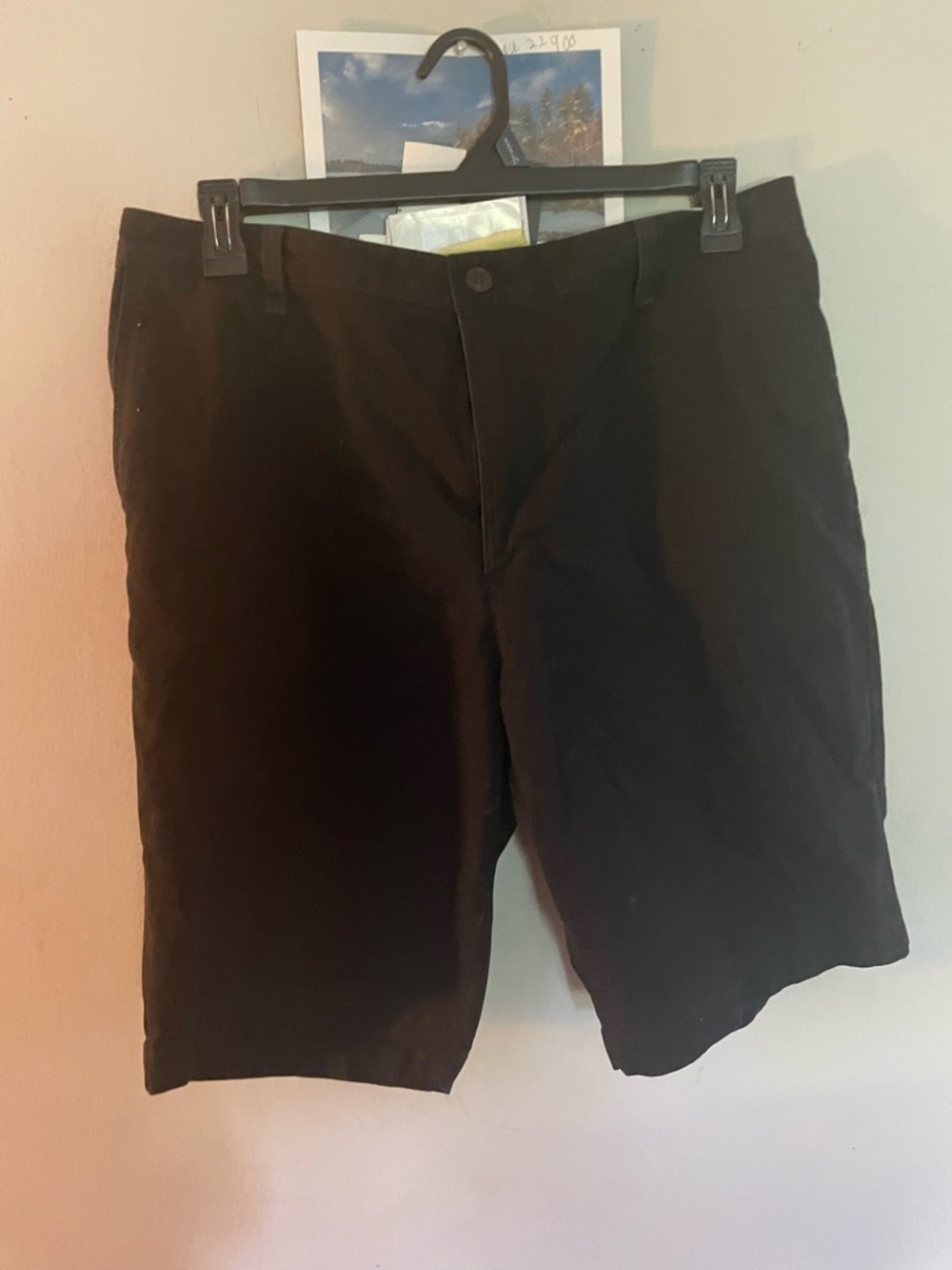 Dockers Black Flat Front Men's Shorts 36